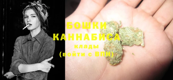 PSILOCYBIN Пересвет